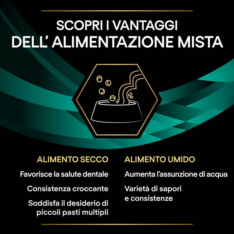 Pro Plan Veterinary Diets Feline EN ST/OX Gastrointestinal 10x85g Salmone Pro Plan Veterinary Diets Feline EN ST/OX Gastrointestinal 10x85g Salmone